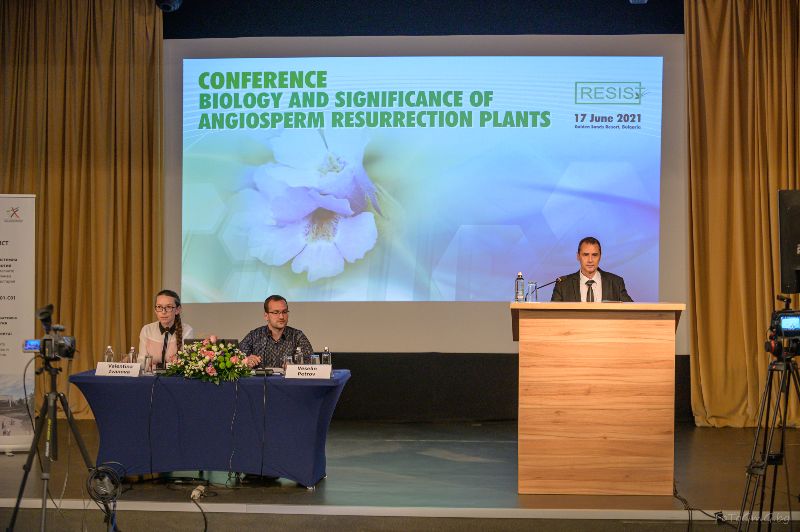 Opening of the conference Biology and significance of angiosperm resurrection plants