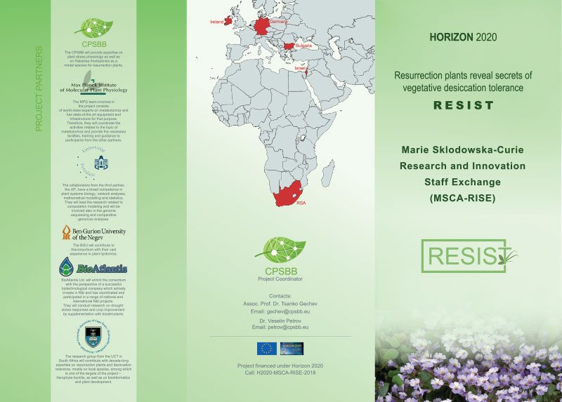 First page of the RESIST information leaflet
